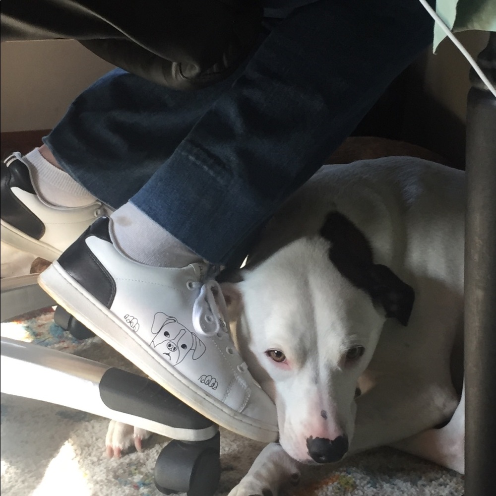 Meet your Posher, Chris